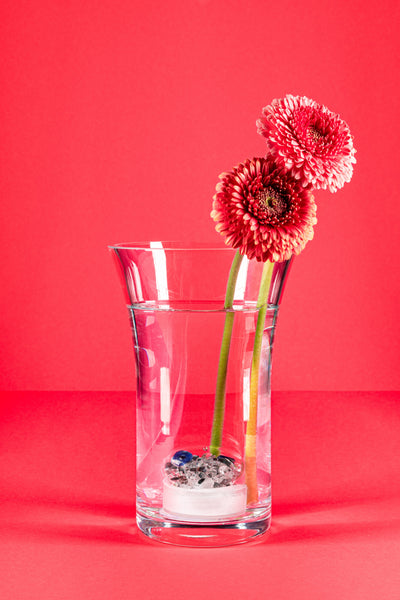 VitaJuwel Crystal Flower Vase, Flora